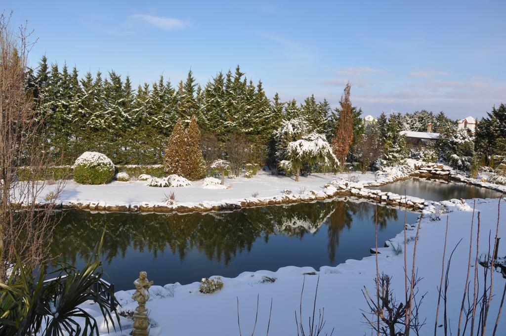 Гостьовий будинок Grandma'S Wonderland Gazitepekoy Екстер'єр фото