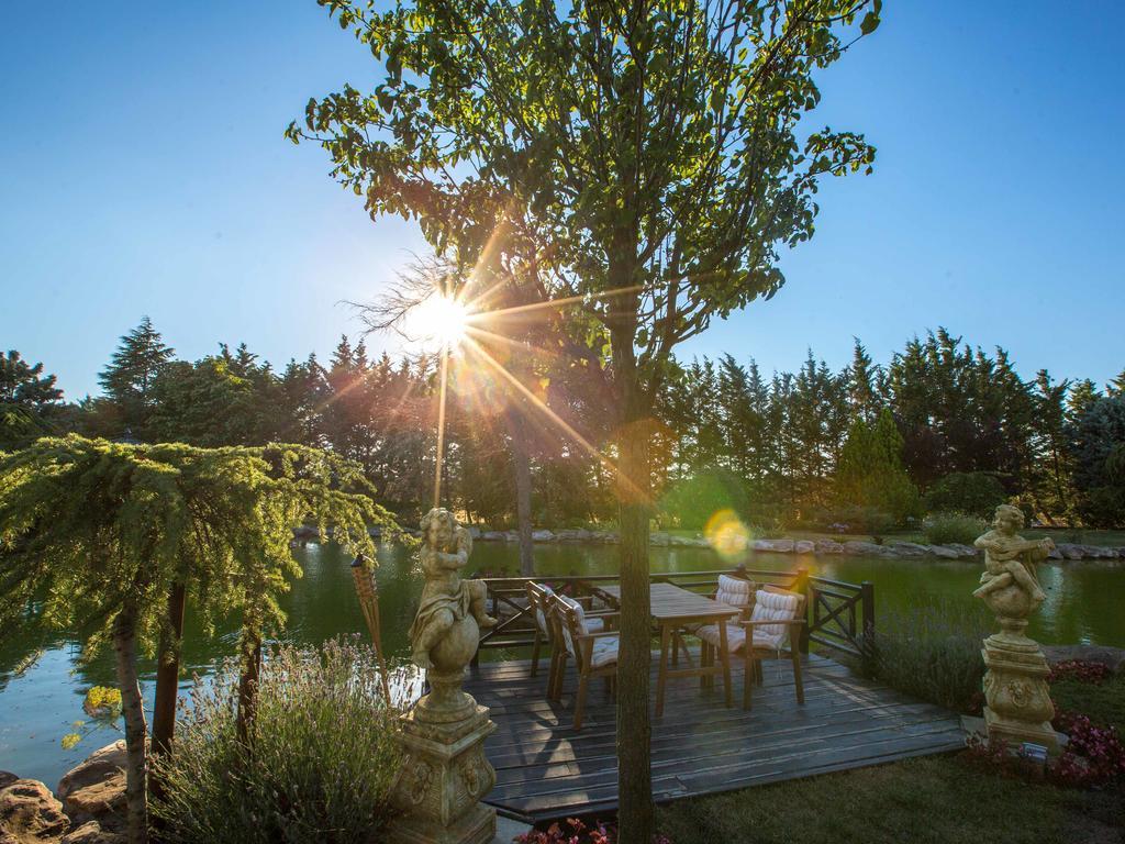 Гостьовий будинок Grandma'S Wonderland Gazitepekoy Екстер'єр фото