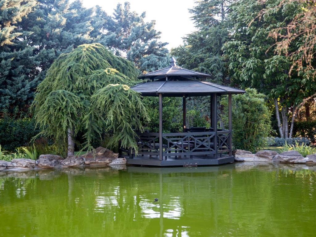 Гостьовий будинок Grandma'S Wonderland Gazitepekoy Екстер'єр фото